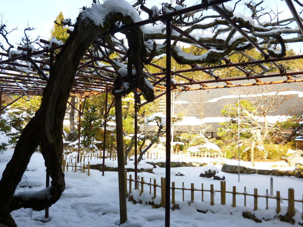 高野山 宿坊 熊谷寺 -Koyasan Shukubo Kumagaiji- Hotel Wakayama Exterior photo